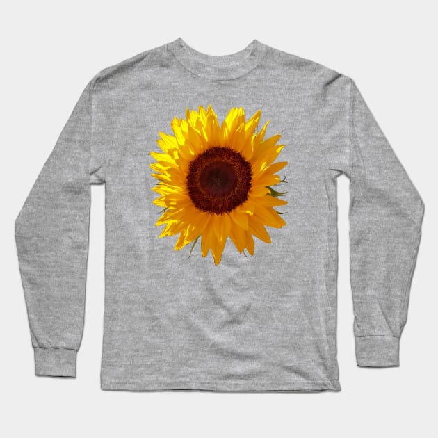 Sunflower Photo Long Sleeve T-Shirt by ellenhenryart